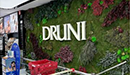 Druni Segovia
